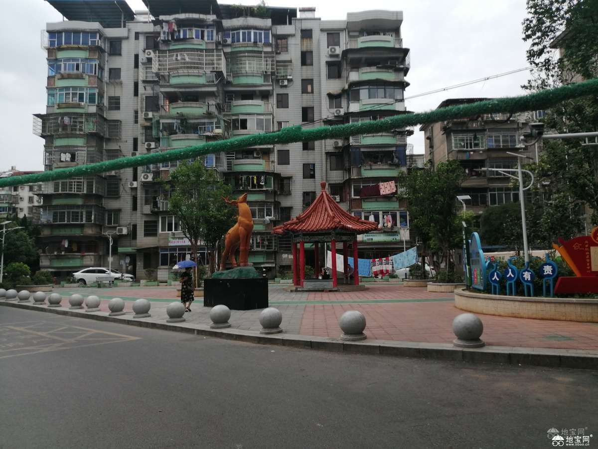 点击放大