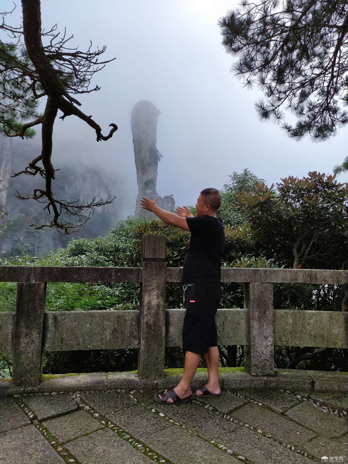 点击放大