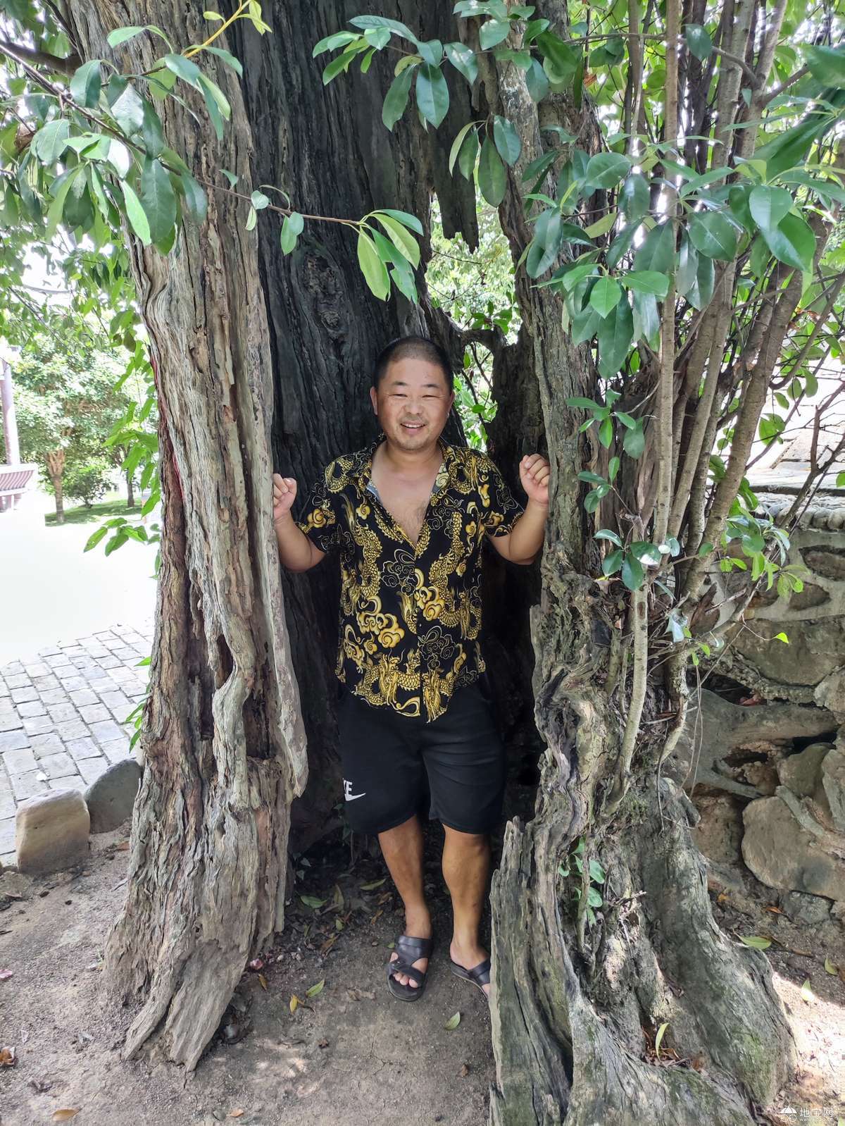 点击放大