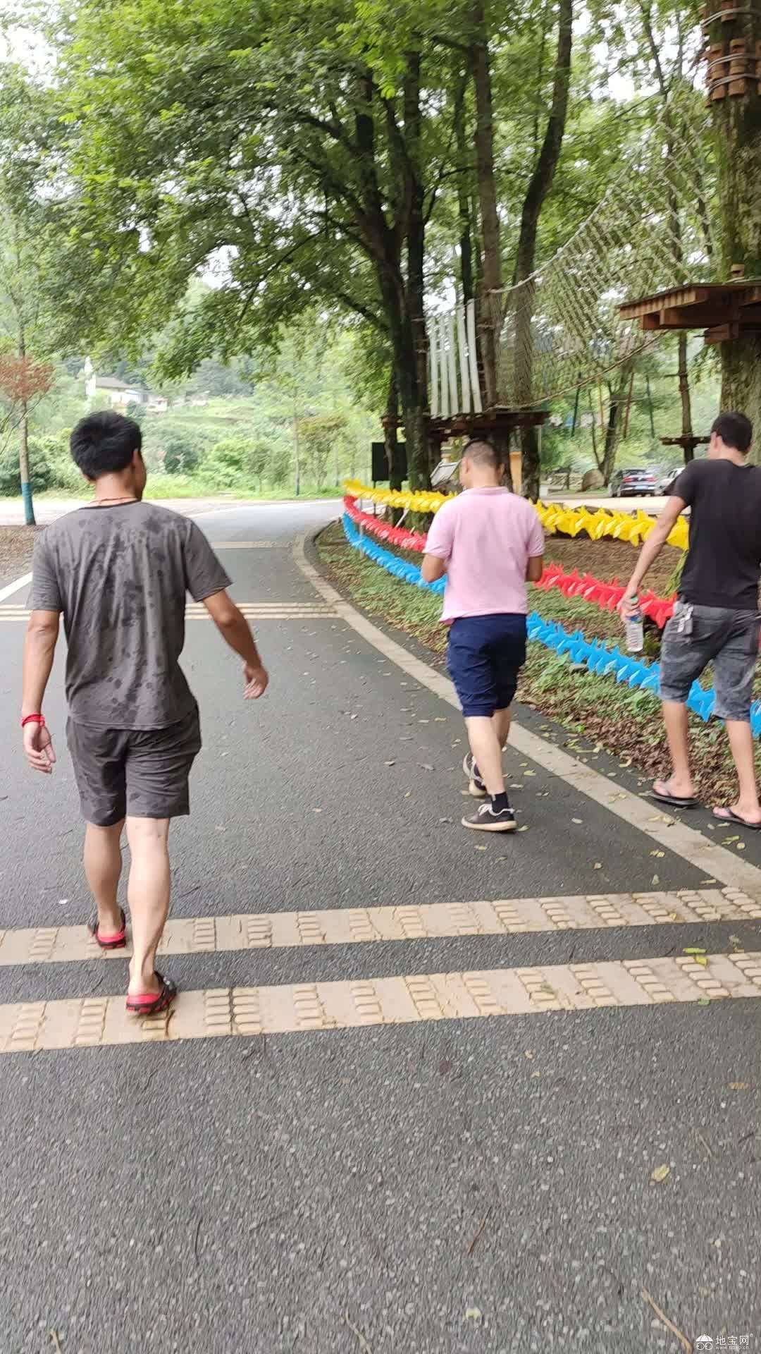 点击放大