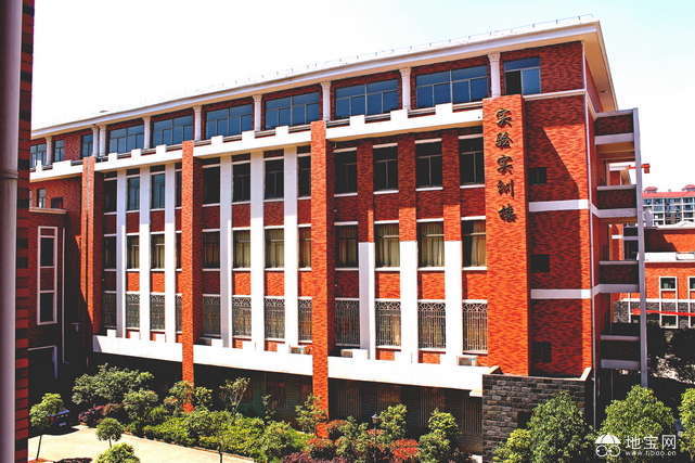2815798_1009427166.jpg-web.jpg