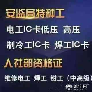 2781498_1544392462.jpg-web.jpg